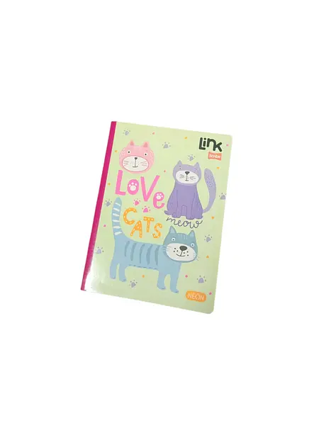 Cuaderno Cosido 100 H Rayado